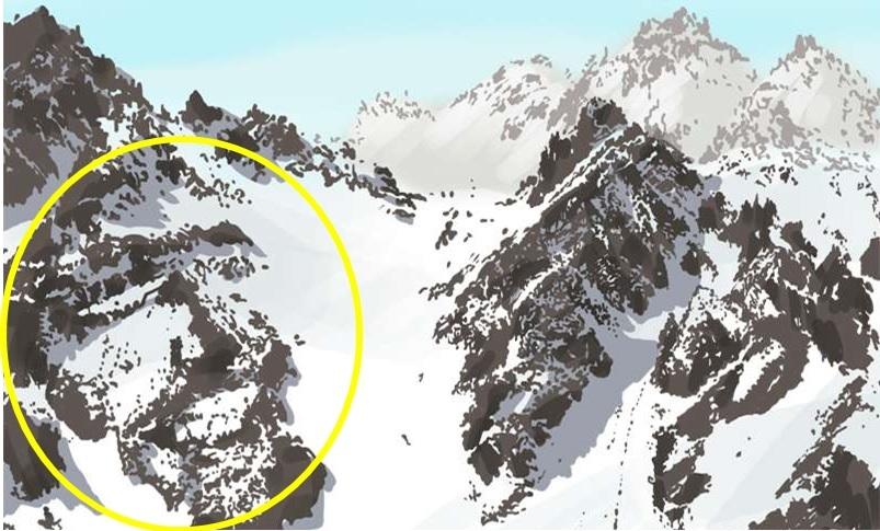 hidden faces optical illusion answer