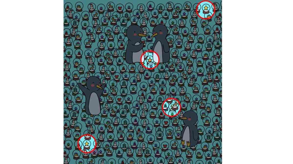 all the stars are here