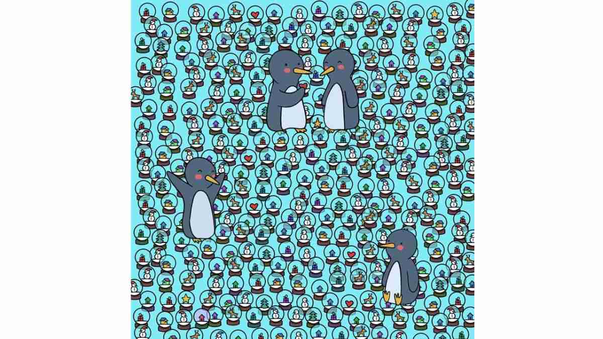 where are all the stars