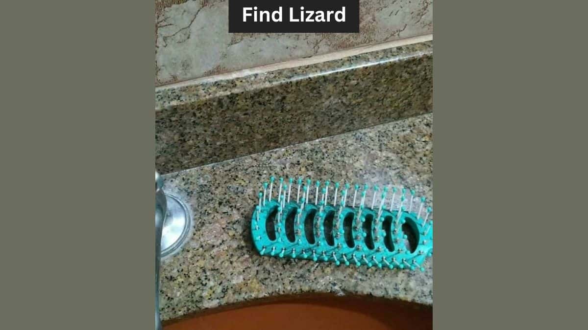 Optical Illusion to Test Your Vision: Find a Lizard in the Bathroom in 6 Seconds!