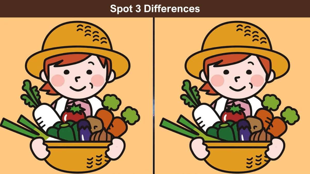 Spot 3 differences between the girl and vegetable basket pictures in 15 seconds!