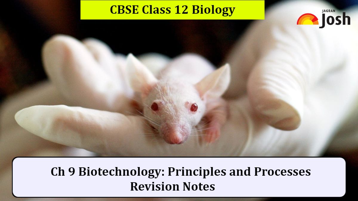 Biotechnology Principles And Processes Revision Notes Cbse Class 12 Biology 2023 24 Based On 1129