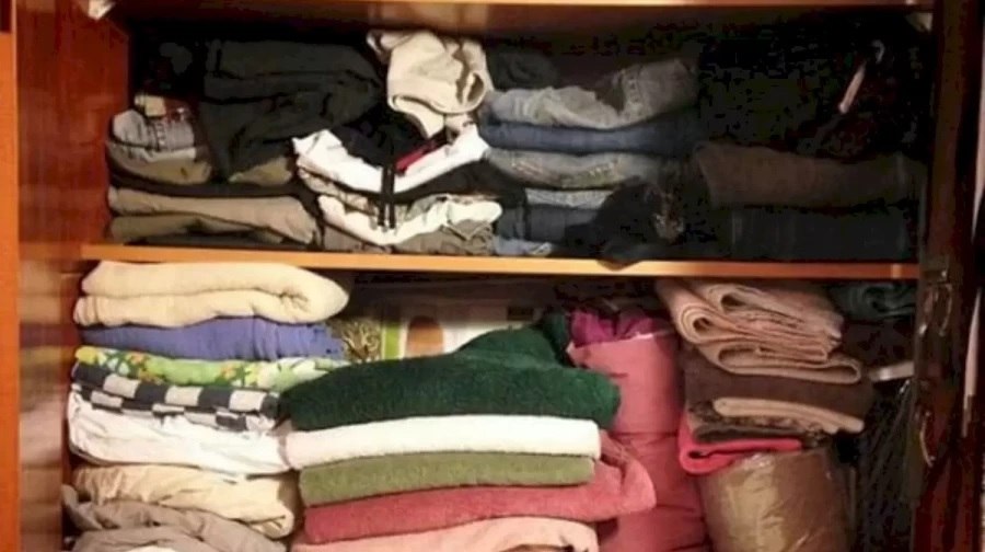 find the cat optical illusion