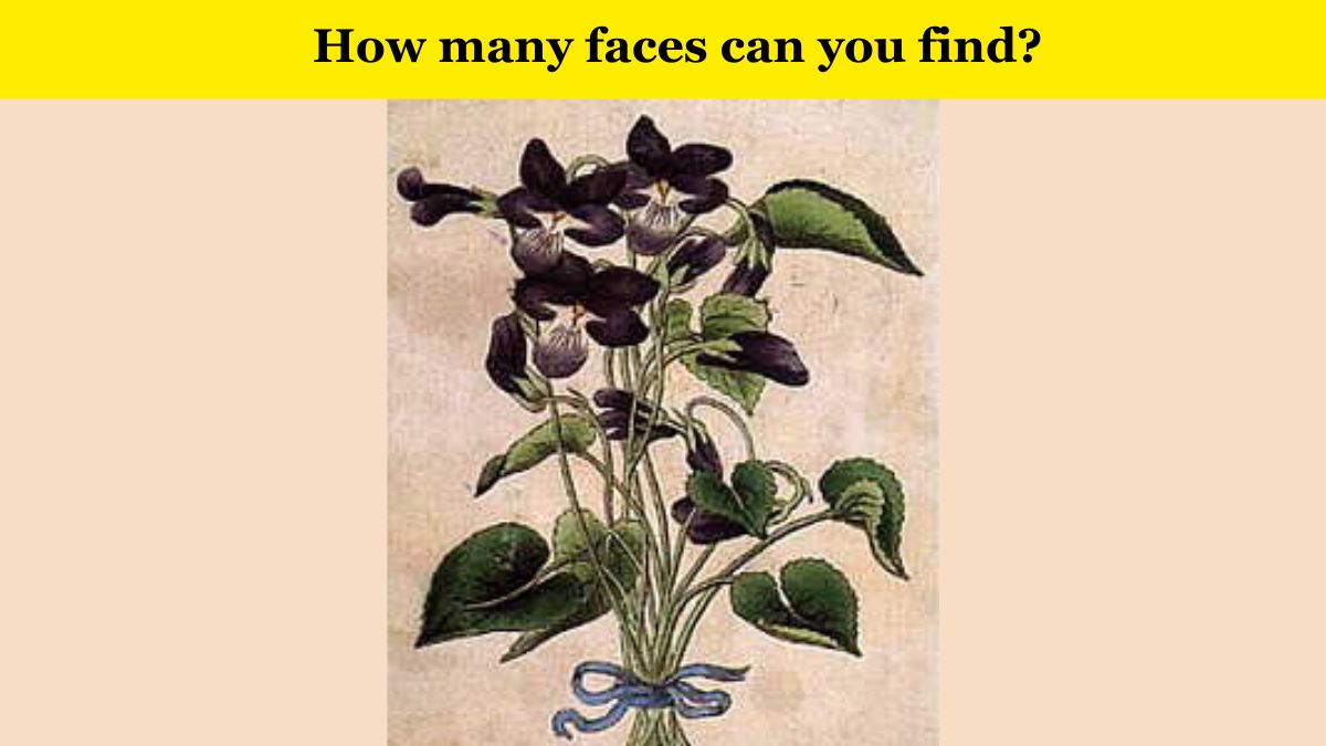 Only someone with great eyesight can spot the faces hidden in the flowers within 6 seconds!