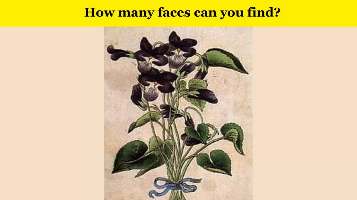 Spot the faces in 6 seconds