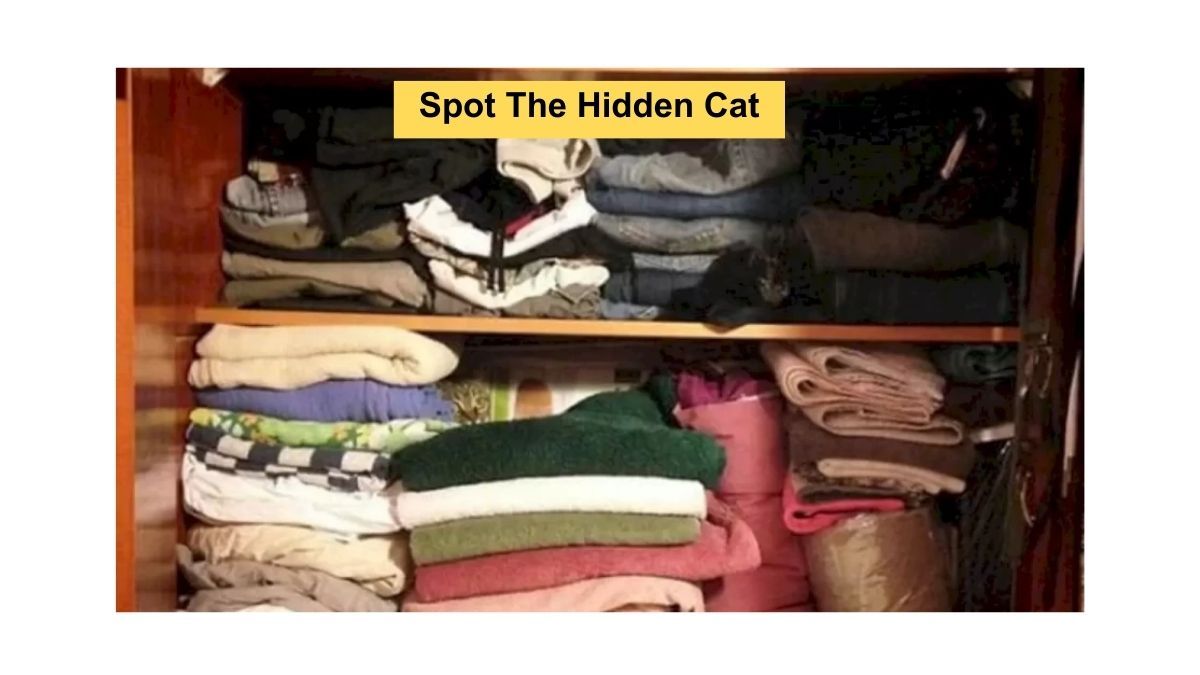Only 1% People With Super Vision Can Find The Cat In This Optical Illusion In 5 Seconds!