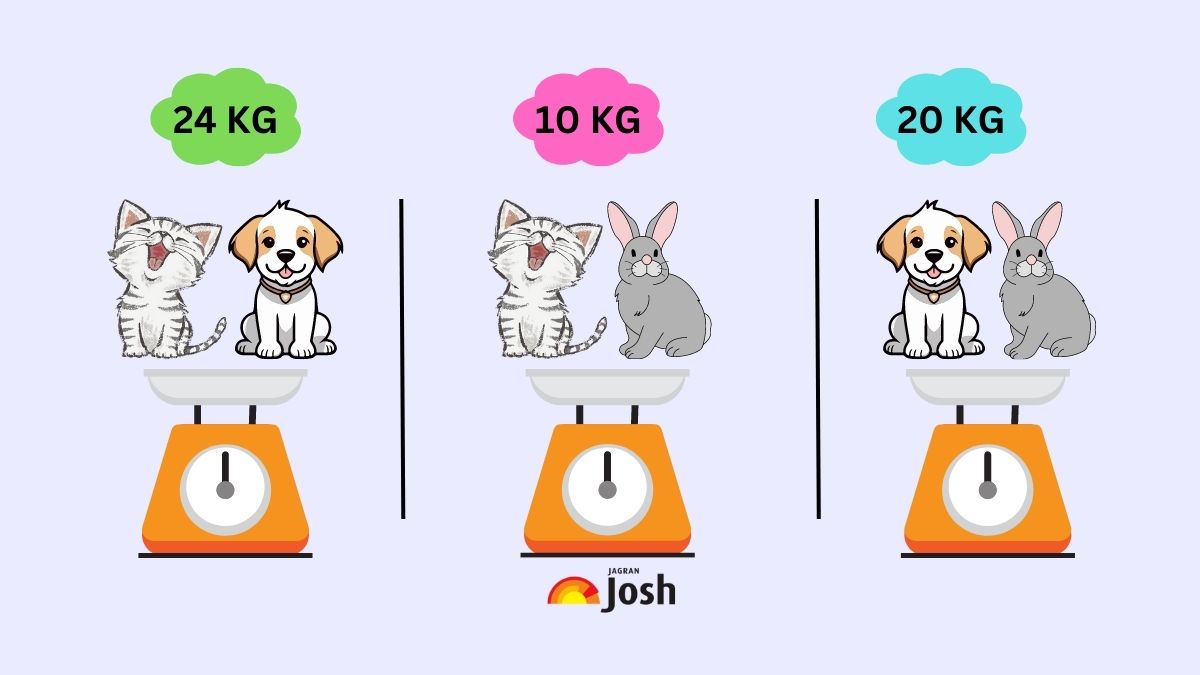 The weight of a Cat and Dog combined is 24 kg.  The combined weight of a cat and a rabbit is 10 kg.  The weight of dog and a rabbit together is 20 kg.