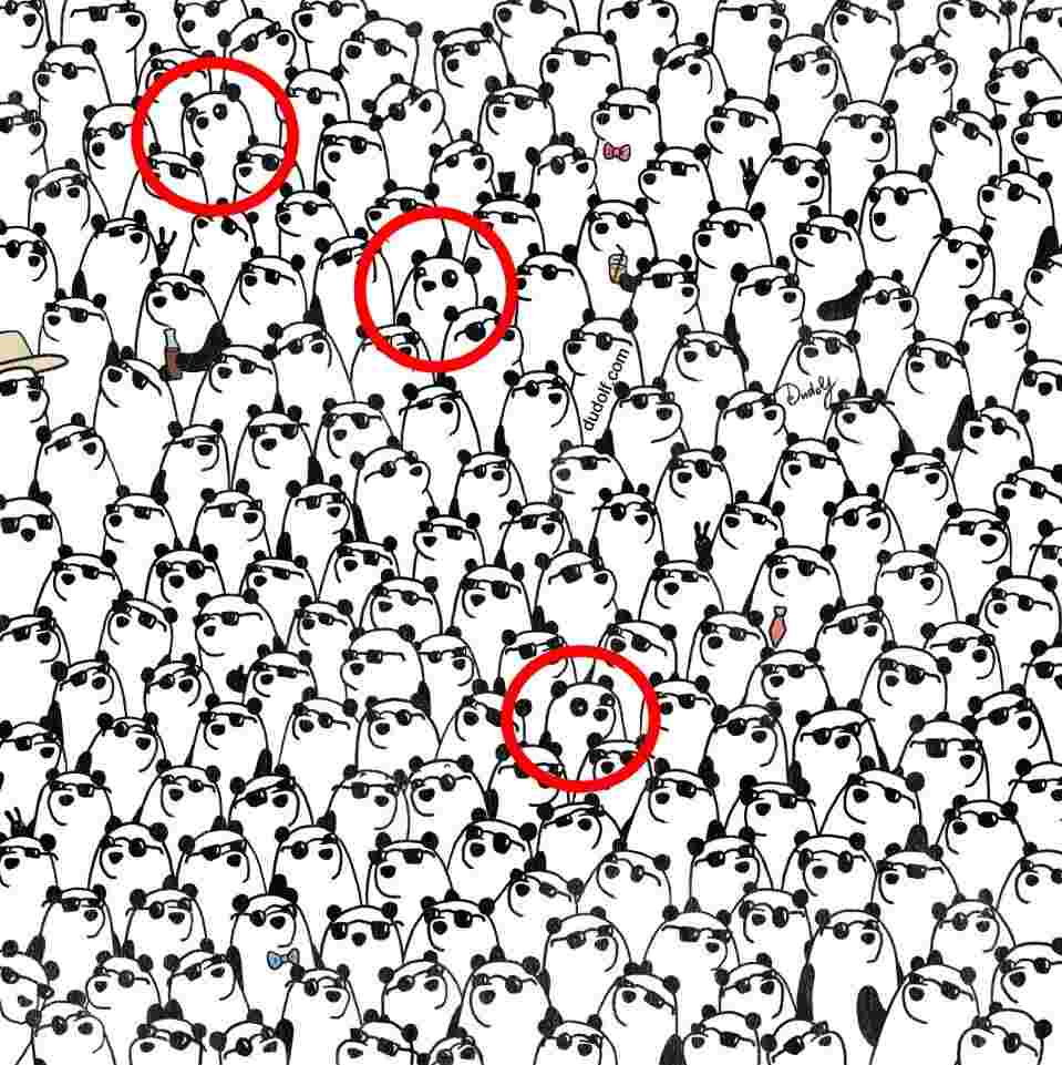 viral panda puzzle answers
