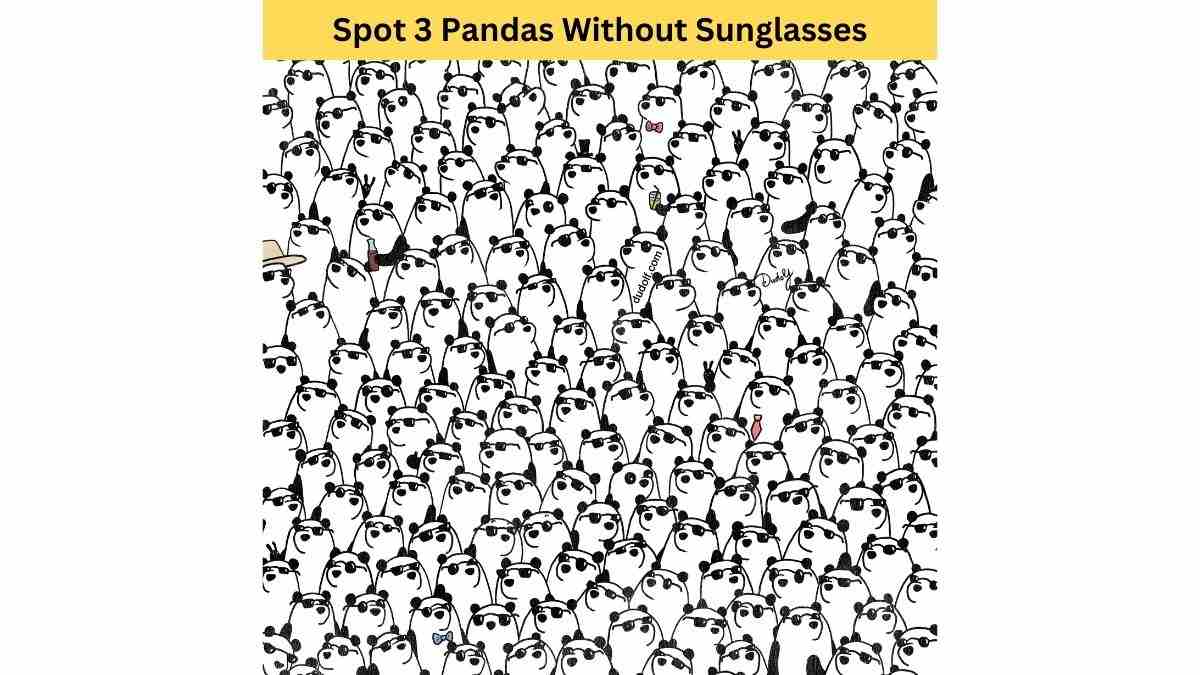 Only 1% Highly Observational People Can Spot 3 Pandas Without Sunglasses!