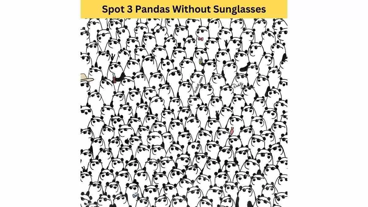 Puzzle To Test Your IQ 