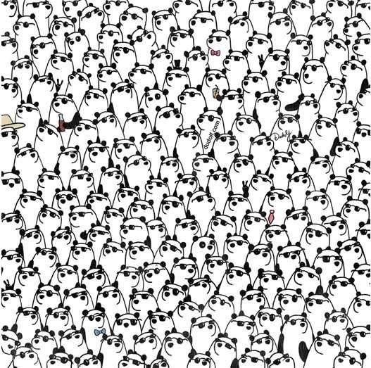 viral panda puzzle to test iq
