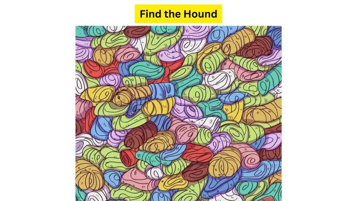Do you see a puppy here?