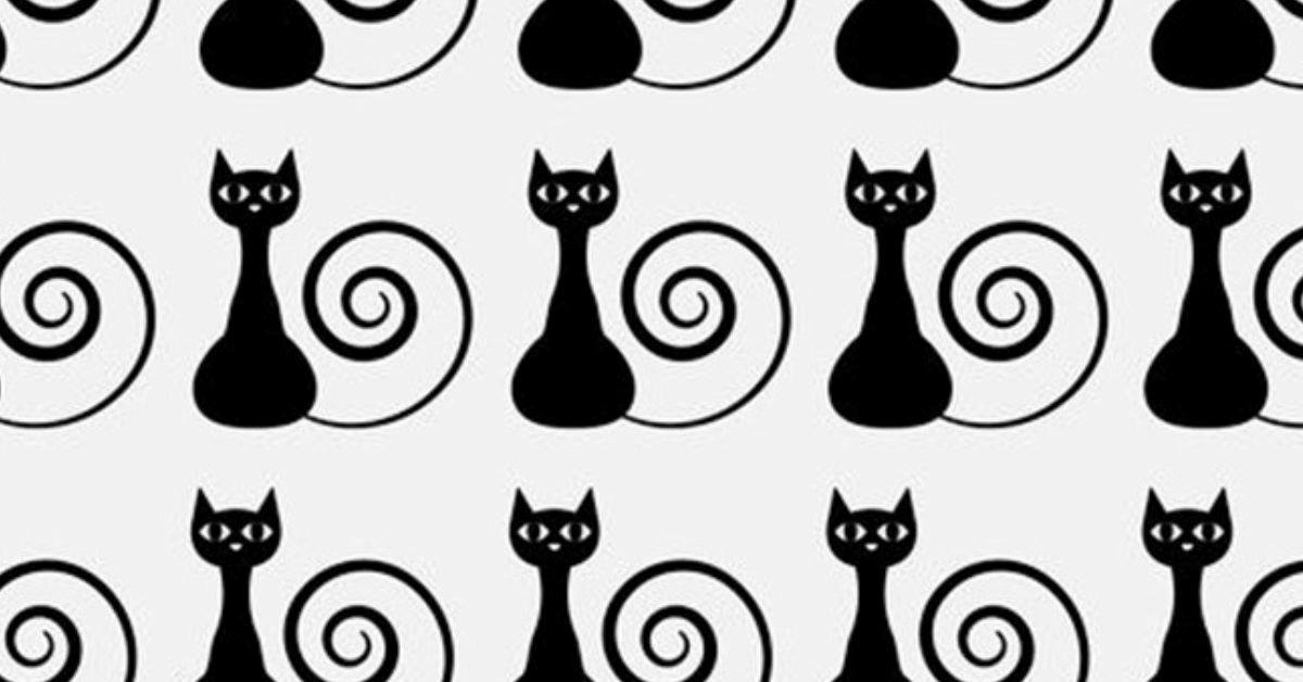 The Cat Who's Not Like the Others. Can You Spot the Different Feline? 