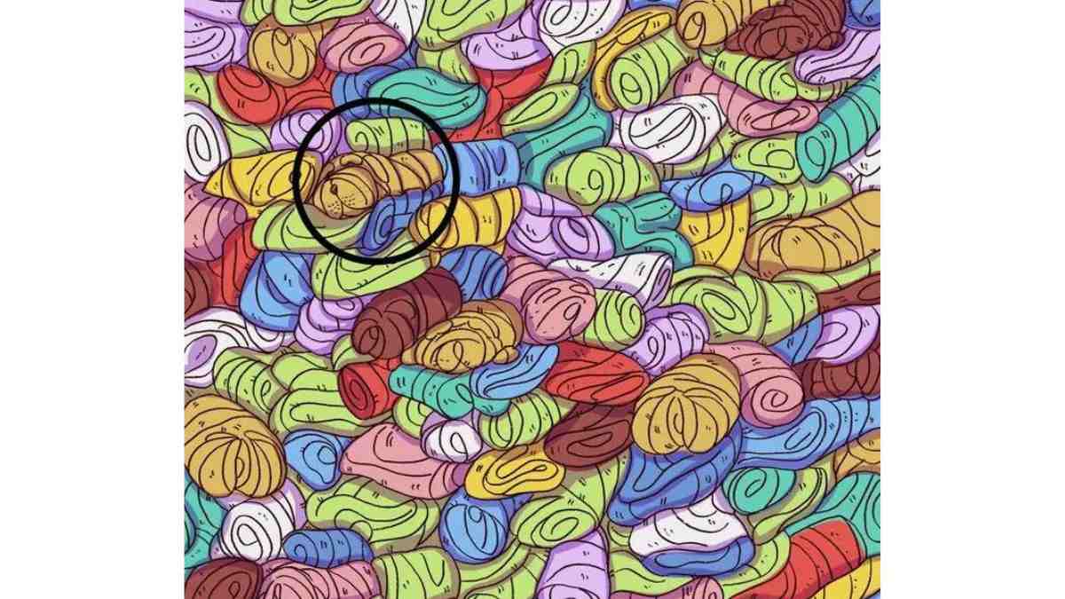 the towel dog is here