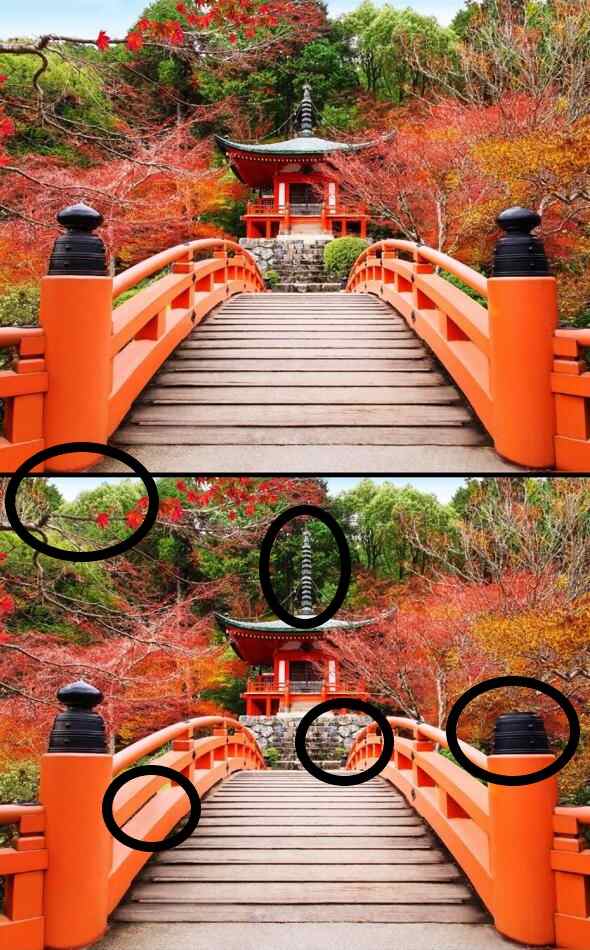 Spot The Difference: Spot 5 Differences in 7 Seconds