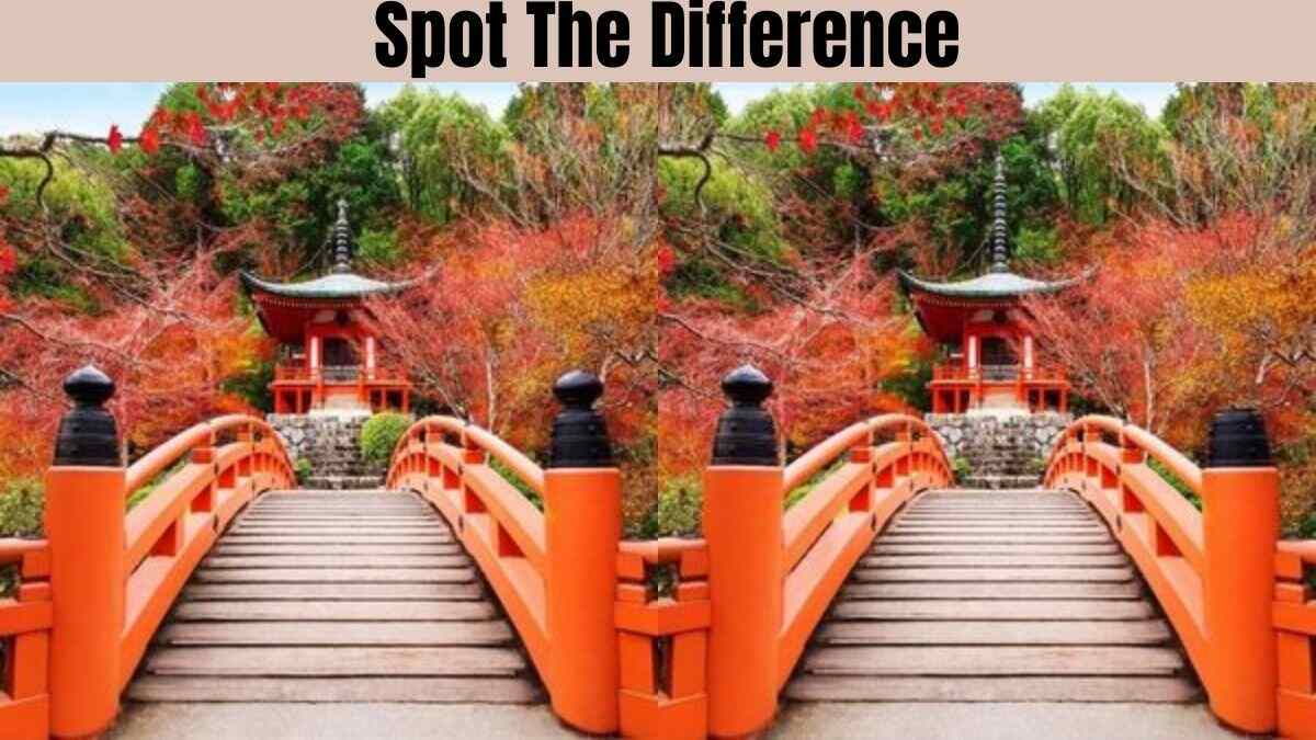 This Spot The Difference Will Make Your Head Ache