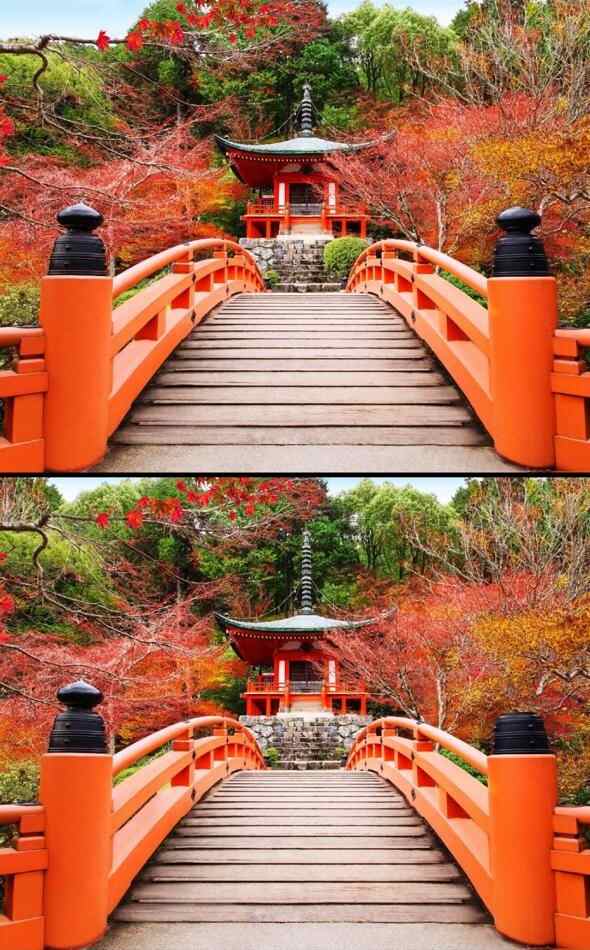 Spot The Difference: Spot 5 Differences in 7 Seconds