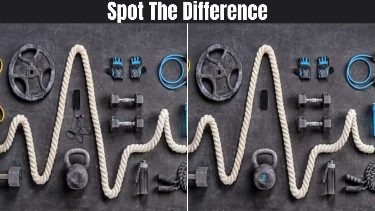 This Spot the Difference Is So Tricky, Every Adult I Getting It Wrong