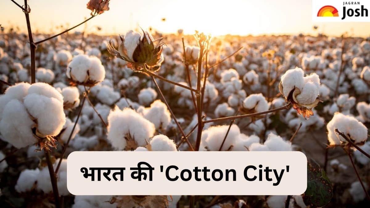 भारत के किस शहर को कहा जाता है ‘Cotton City’, जानें 