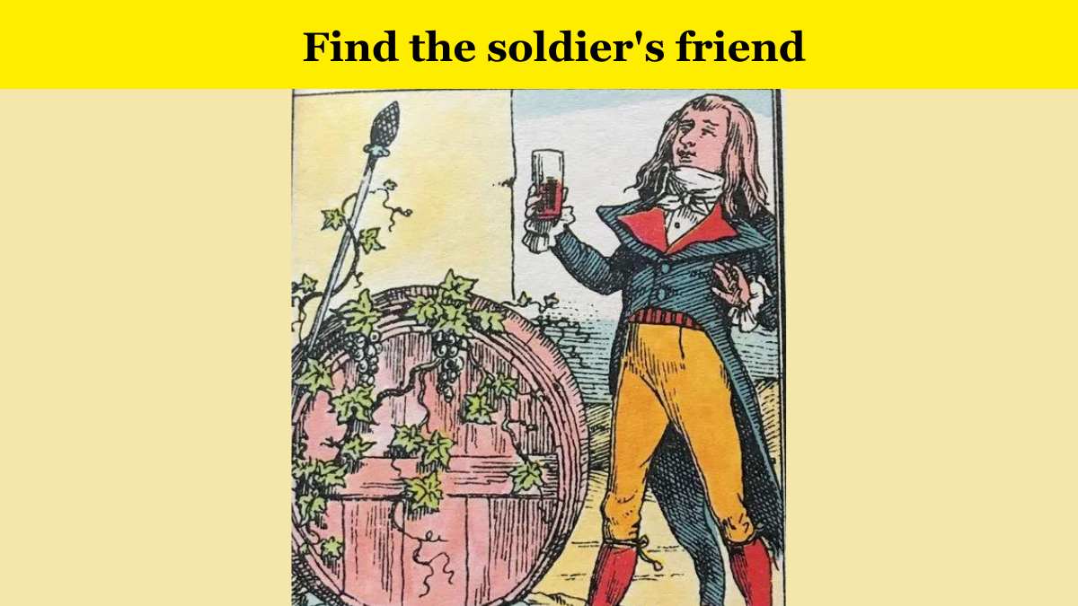 How attentive are you? Find the soldier’s friend hidden in the picture within 5 seconds.
