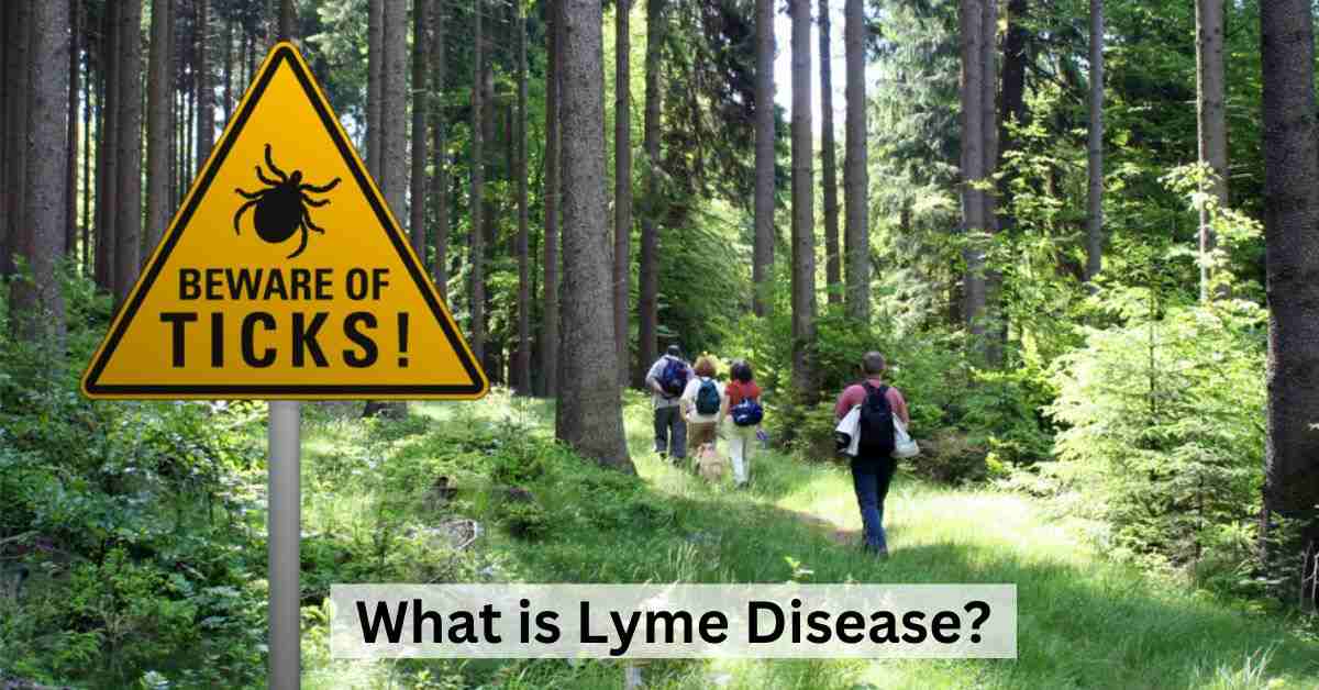 Explained: What Is Lyme Disease? Know About the Symptoms and Treatment