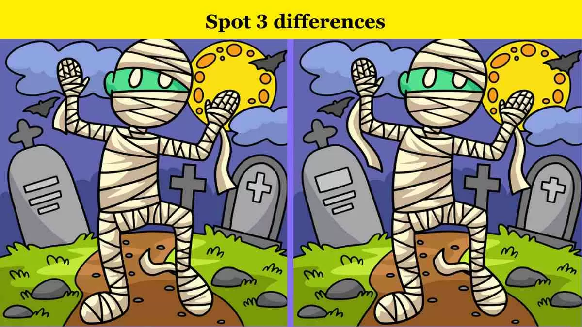 Spot 3 differences in 9 seconds