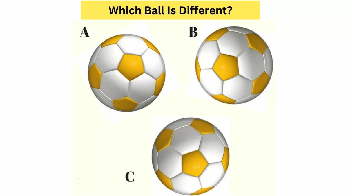 Test Your Observation Skills: Picture Riddle Brain Teaser