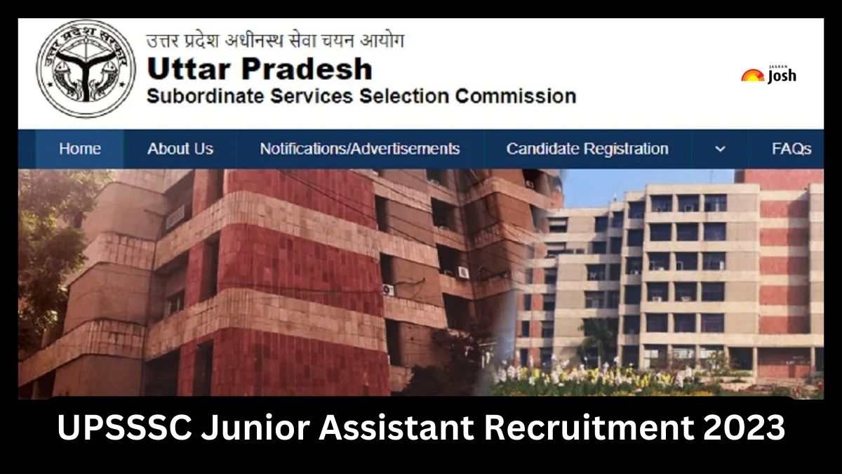 UPSSSC Recruitment 2023: यूपी में निकली जूनियर असिस्टेंट और क्लर्क के पदों पर बंपर सरकारी नौकरी, यहां देखें डिटेल