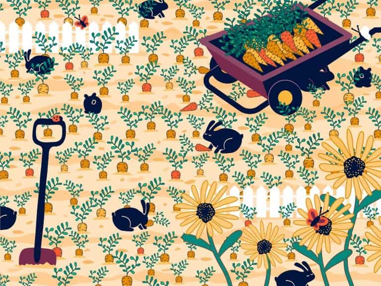 can you find the wedding ring in the garden?