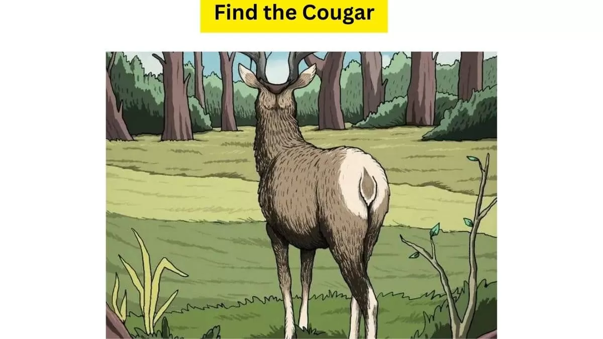 Do You See A Hunter Here?