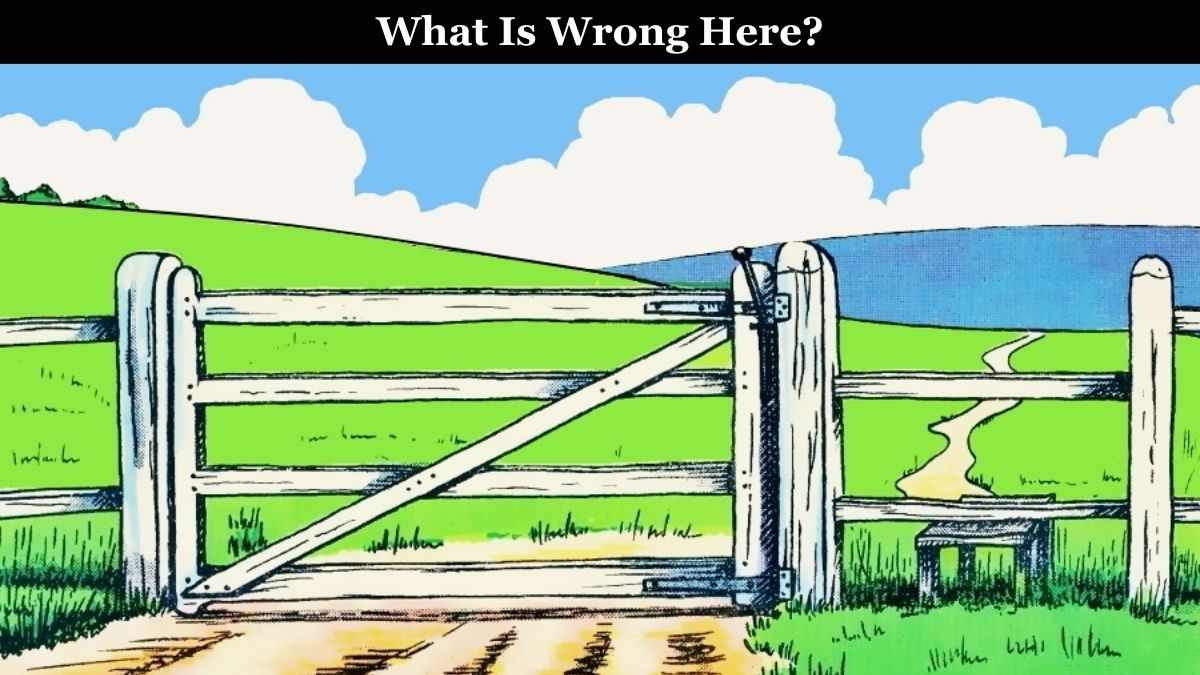 Brain Test: Can You Find The Mistake In The Picture In 5 Seconds?