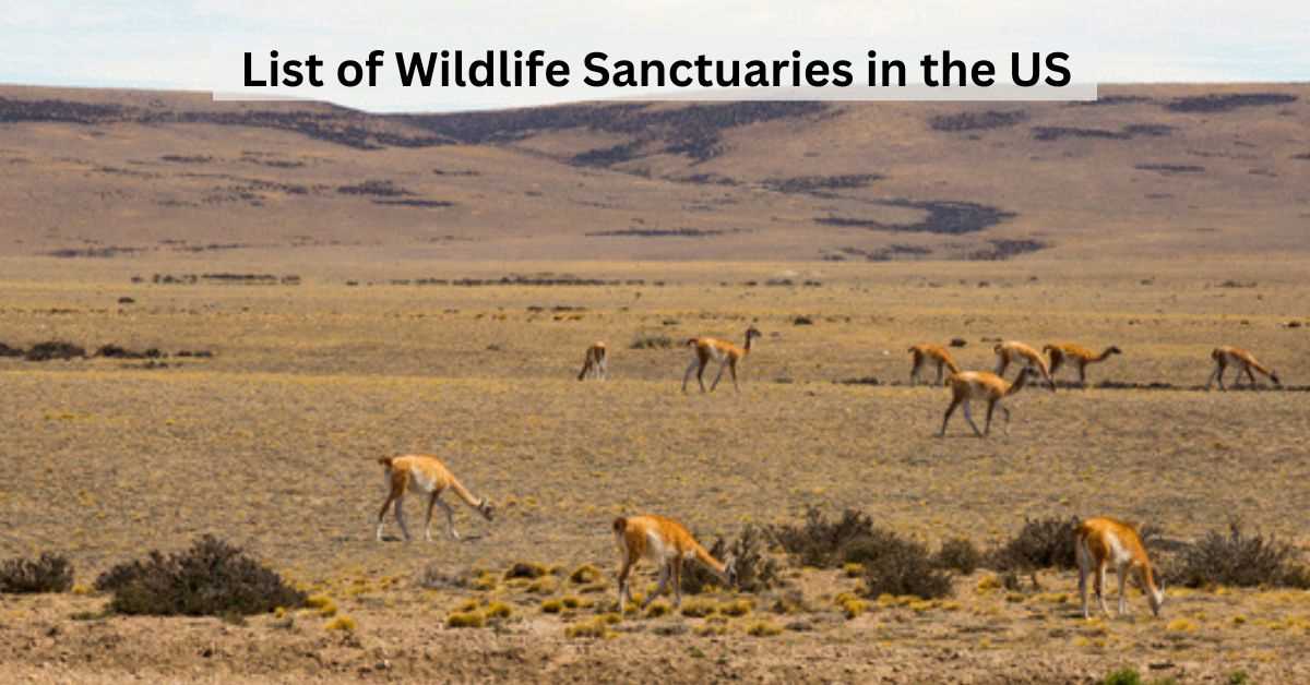 List of Animal Wildlife Sanctuaries in the U.S.