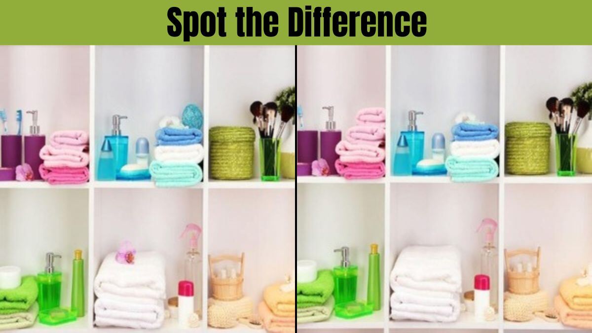 Are You Smarter Than a 5th Grader? This Spot the Difference Challenge Will Test Your Skills