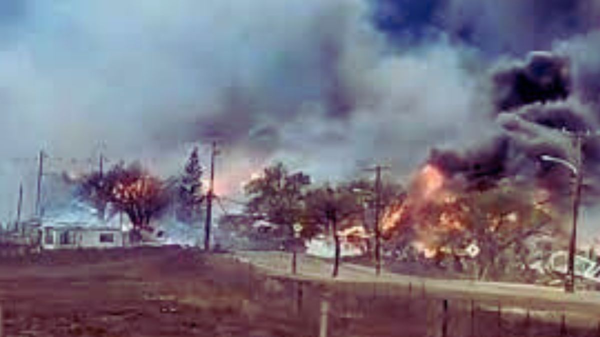 Wildfires across Maui demand attention. Why do wildfires occur? Here's the complete story