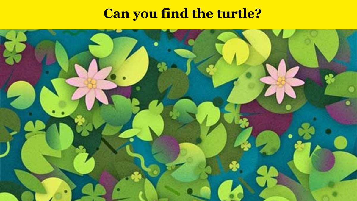 Optical illusion to test your eyesight: Find the turtle hidden among the lily pads in 5 seconds!