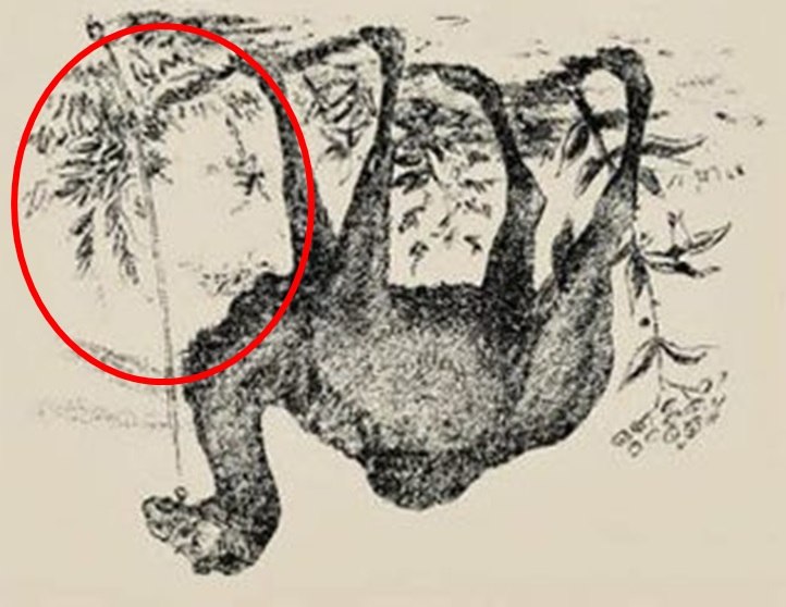 hidden camel rider optical illusion answer