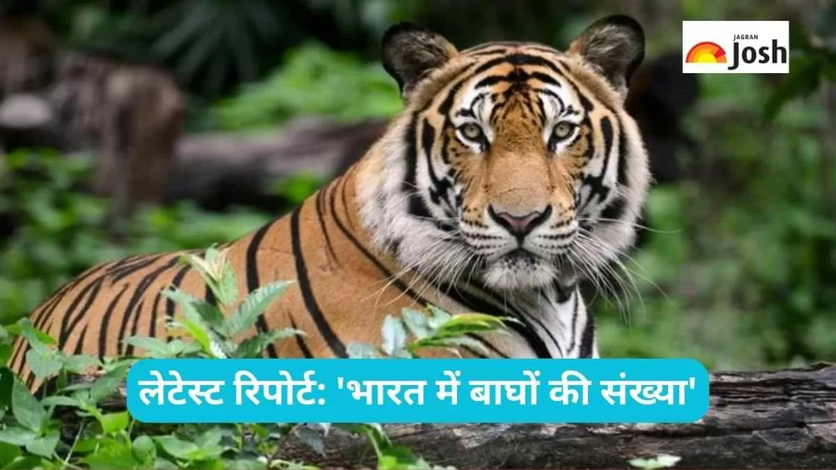 लेटेस्ट डेटा के अनुसार भारत में बाघों की संख्या कितनी है?