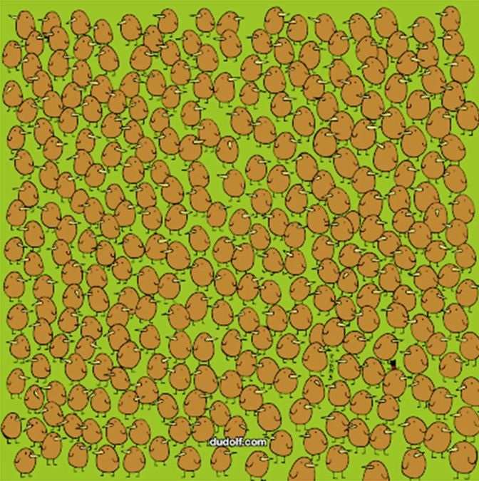 hidden optical illusions to test iq