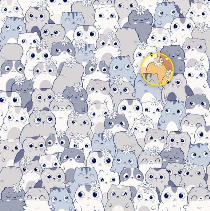 hidden picture puzzles with answers