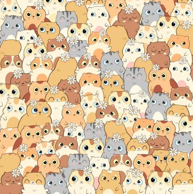 find hidden object in the picture puzzle