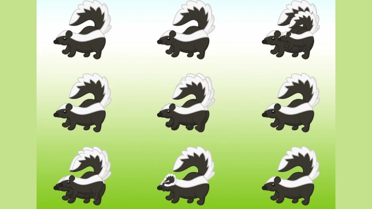 brain-teaser-to-test-your-iq-how-many-skunks-can-you-spot-in-the