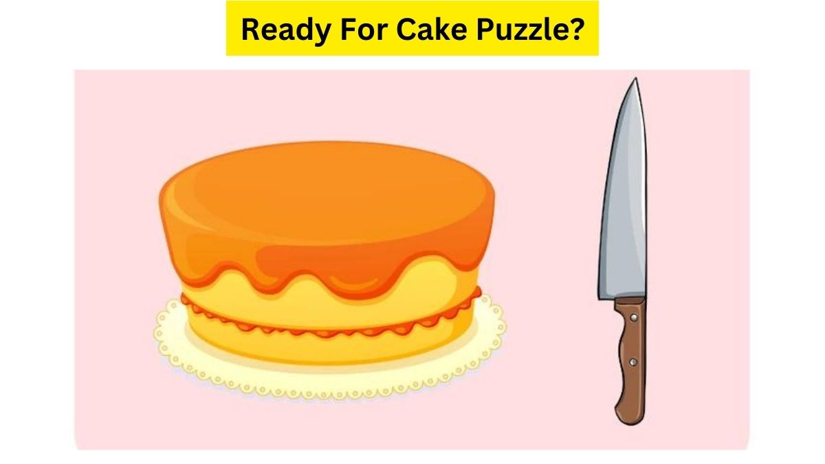  3 Cuts & 8 Pieces! Only A Puzzle Champion Can Solve This Cake Brain Teaser In 13 Seconds. Try Your Skills!