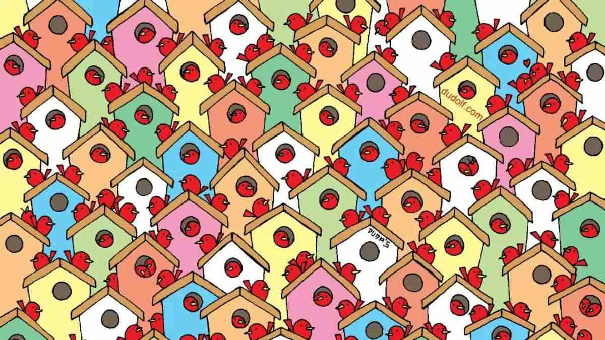 Optical Illusion: Spot Three Apples.