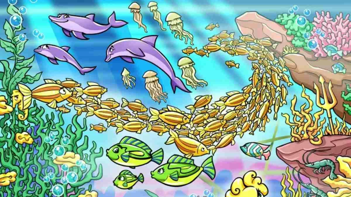 Can you spot the baby seahorse?
