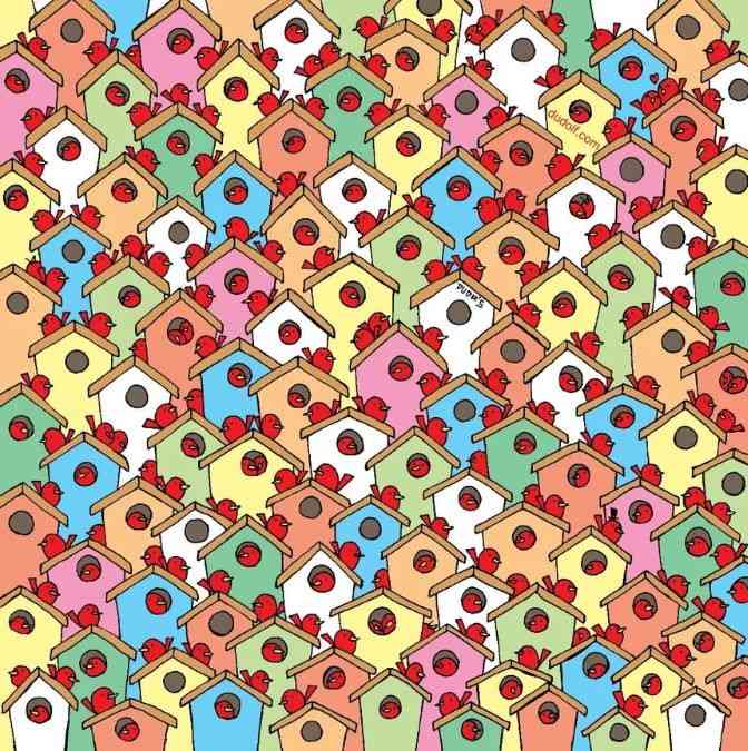 hidden optical illusions 