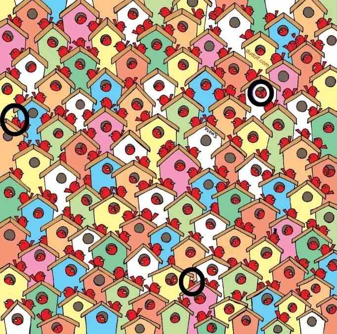 optical illusions with answers