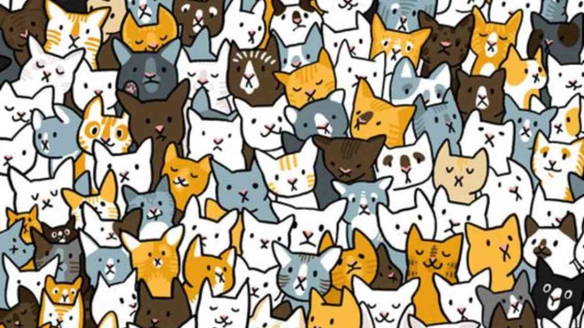 Optical Illusion To Test Your IQ: Only 1% Can Spot the Rabbit Hidden Among The Cats In The Picture Within 9 Secs!