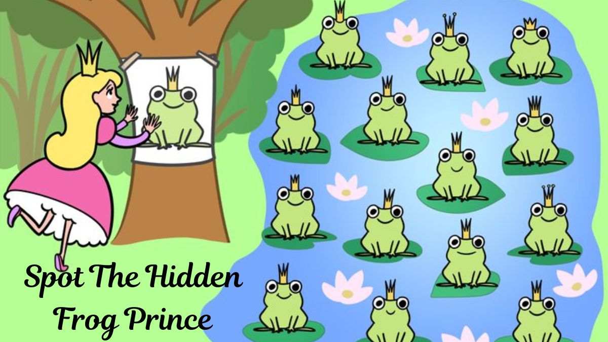 Puzzle To Test Your IQ: Princess Needs Your Help! Can You Find The Frog Prince In The Picture Within 15 secs?