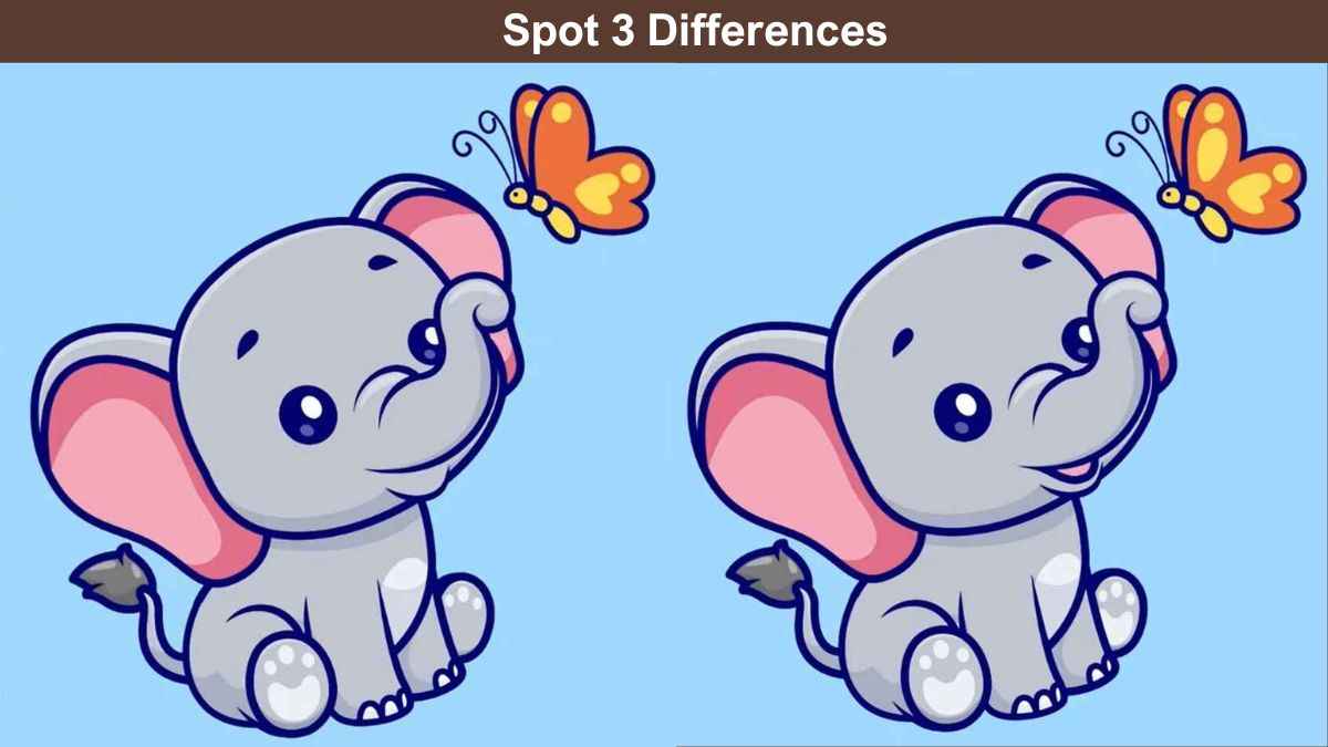 Spot 3 differences between the baby elephant pictures in 10 seconds!