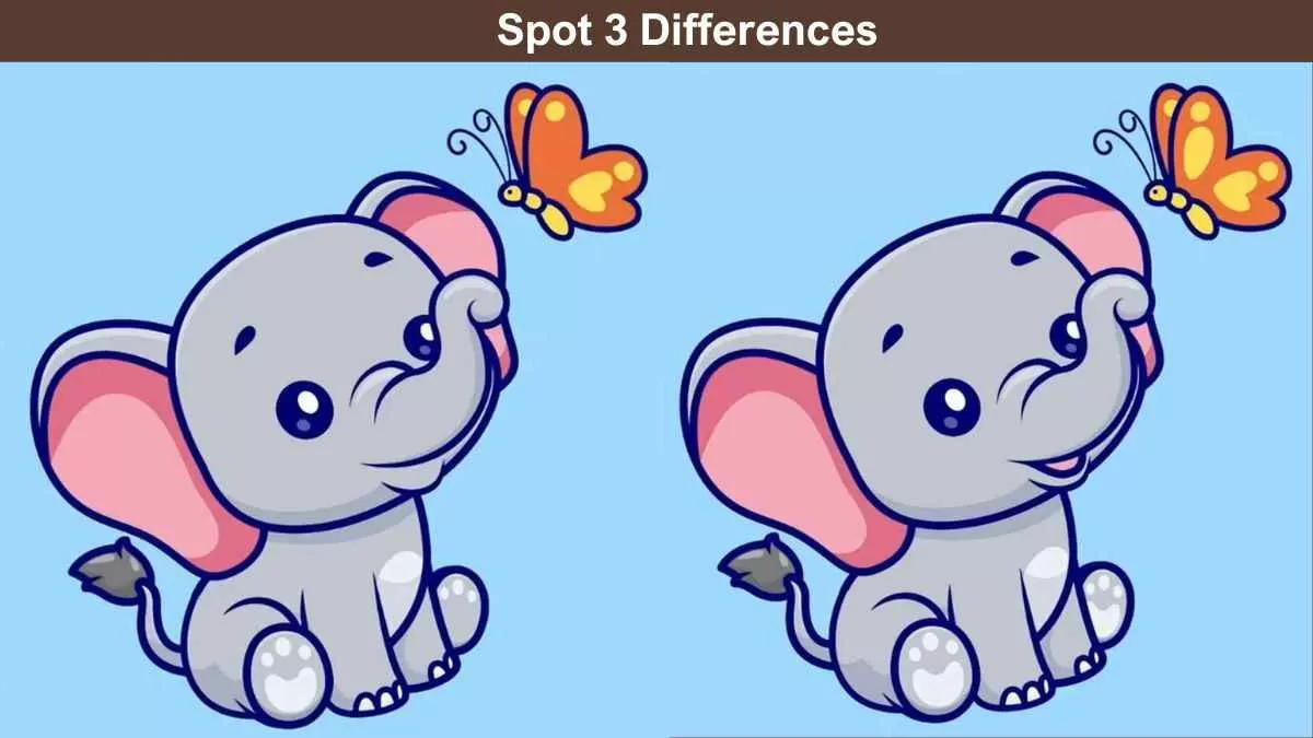 Spot 3 differences baby elephant pictures